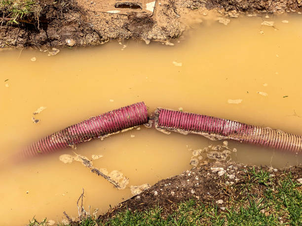 Best Local water damage restoration  in Reliez Valley, CA
